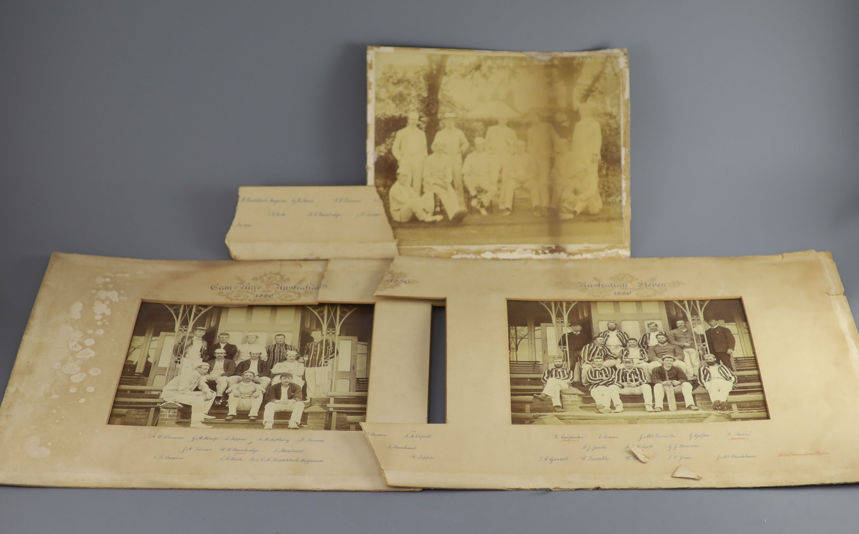 A set of three photographs of the Cambridge University Cricket 11 v Australians 1886, photographed by Hills & Saunders, overall 36 x 11